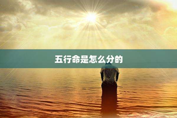 五行命是怎么分的