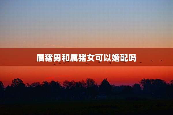 属猪男和属猪女可以婚配吗
