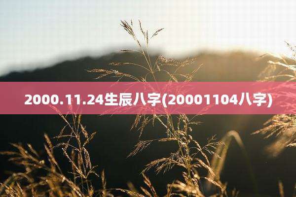 2000.11.24生辰八字(20001104八字)