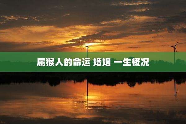 属猴人的命运 婚姻 一生概况