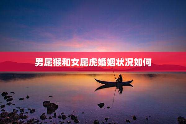 男属猴和女属虎婚姻状况如何