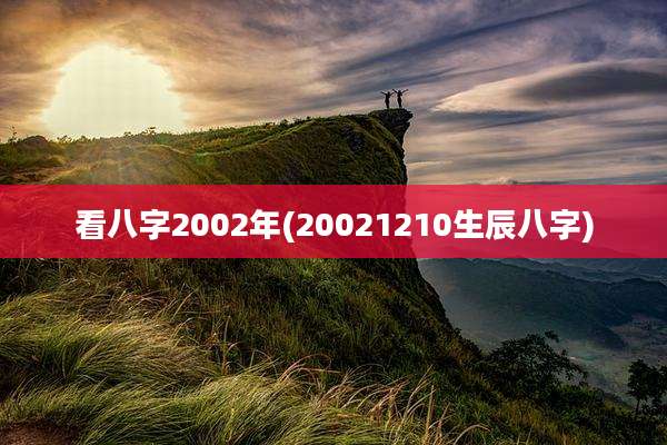 看八字2002年(20021210生辰八字)