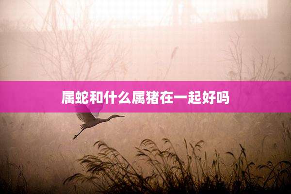 属蛇和什么属猪在一起好吗