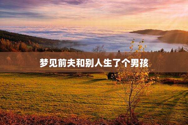 梦见前夫和别人生了个男孩