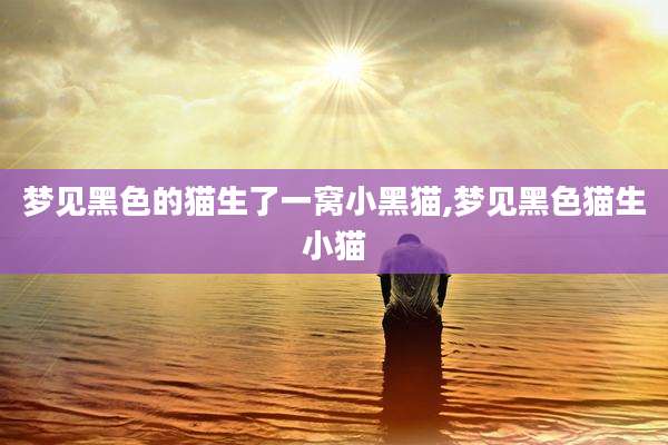梦见黑色的猫生了一窝小黑猫,梦见黑***生小猫