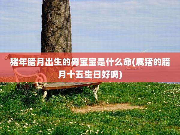 猪年腊月出生的男宝宝是什么命(属猪的腊月十五生日好吗)