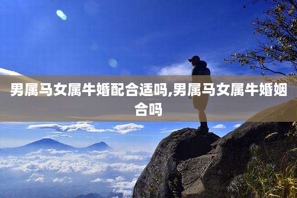 男属马女属牛婚配合适吗,男属马女属牛婚姻合吗