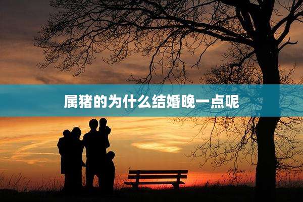属猪的为什么结婚晚一点呢
