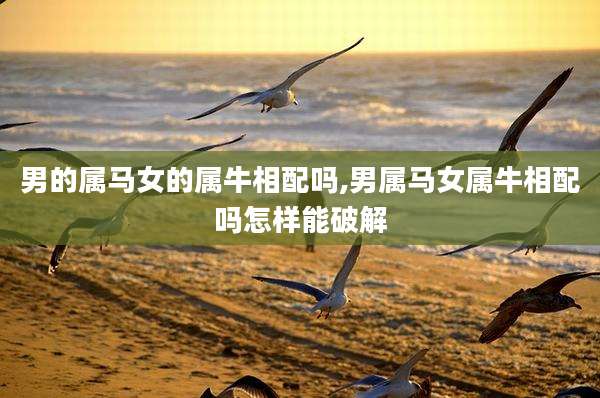 男的属马女的属牛相配吗,男属马女属牛相配吗怎样能破解