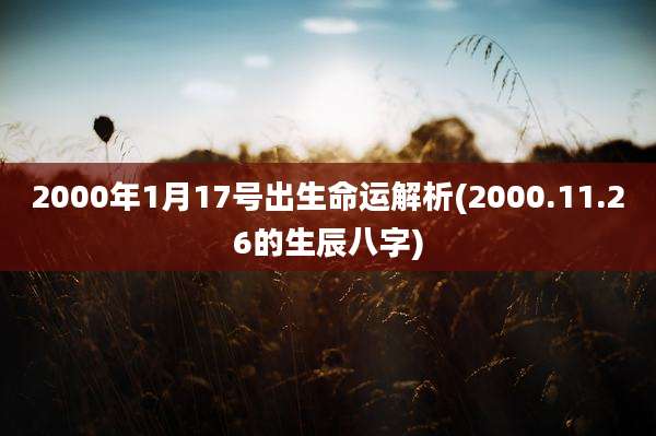 2000年1月17号出生命运解析(2000.11.26的生辰八字)