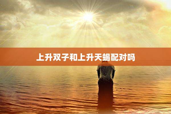 上升双子和上升天蝎配对吗