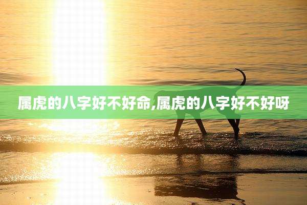 属虎的八字好不好命,属虎的八字好不好呀