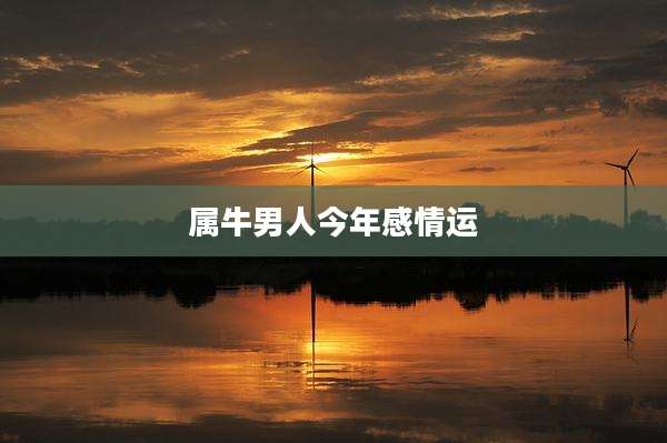 属牛男人今年感情运