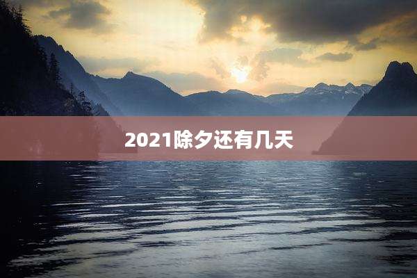 2021除夕还有几天