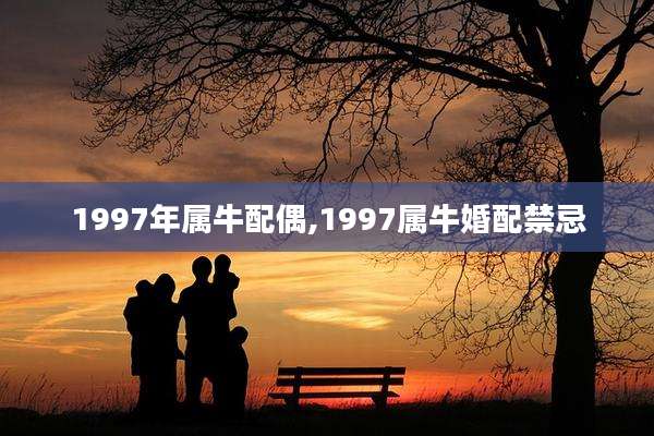1997年属牛配偶,1997属牛婚配禁忌