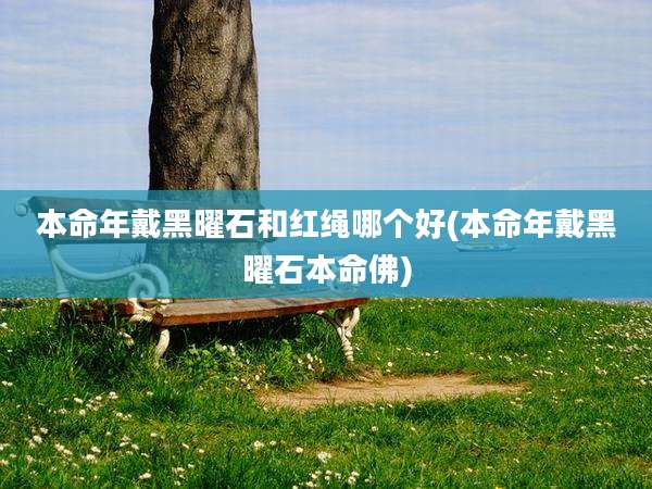 本命年戴黑曜石和红绳哪个好(本命年戴黑曜石本命佛)