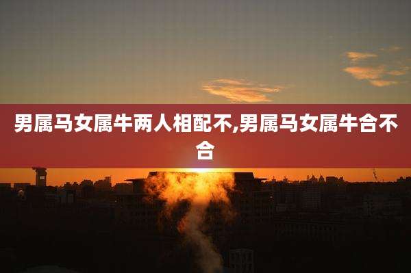 男属马女属牛两人相配不,男属马女属牛合不合