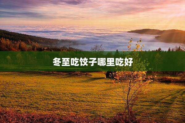 冬至吃饺子哪里吃好