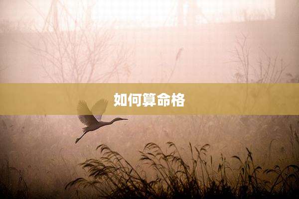 如何算命格