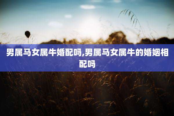 男属马女属牛婚配吗,男属马女属牛的婚姻相配吗