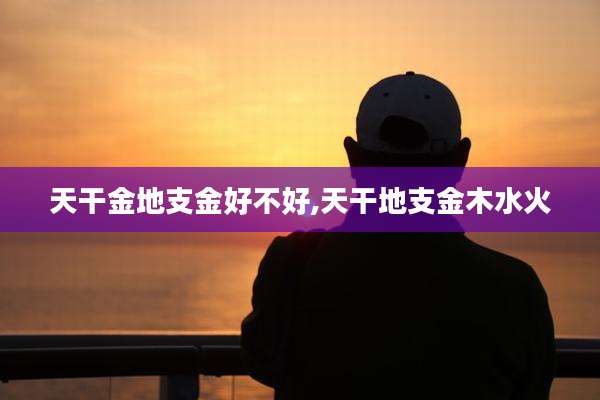 天干金地支金好不好,天干地支金木水火