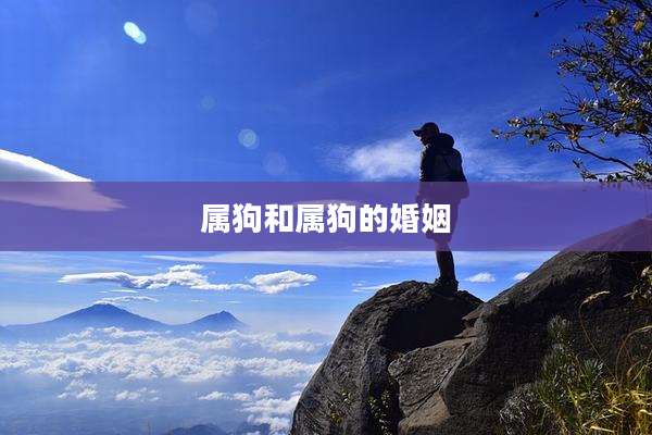 属狗和属狗的婚姻