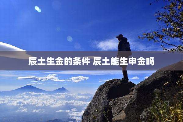 辰土生金的条件 辰土能生申金吗