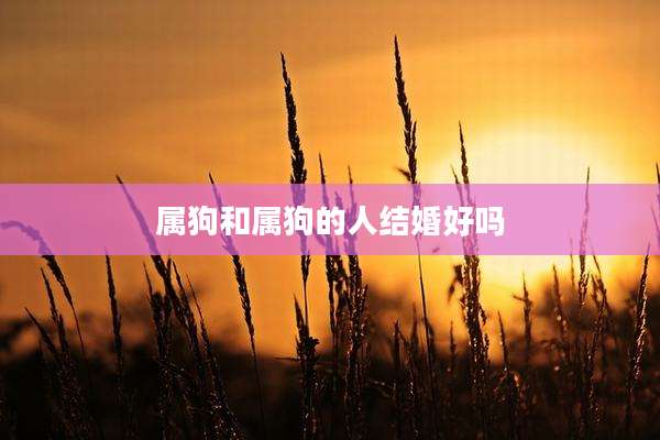 属狗和属狗的人结婚好吗
