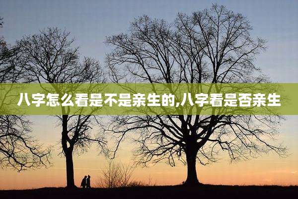 八字怎么看是不是亲生的,八字看是否亲生
