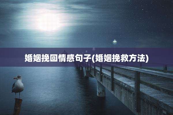 婚姻挽回情感句子(婚姻挽救方法)