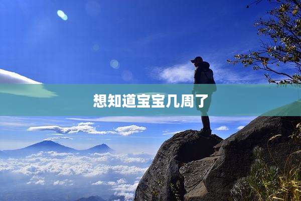 想知道宝宝几周了