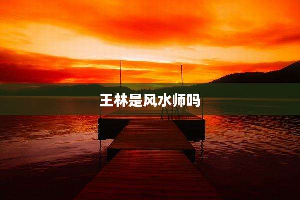 王林是风水师吗