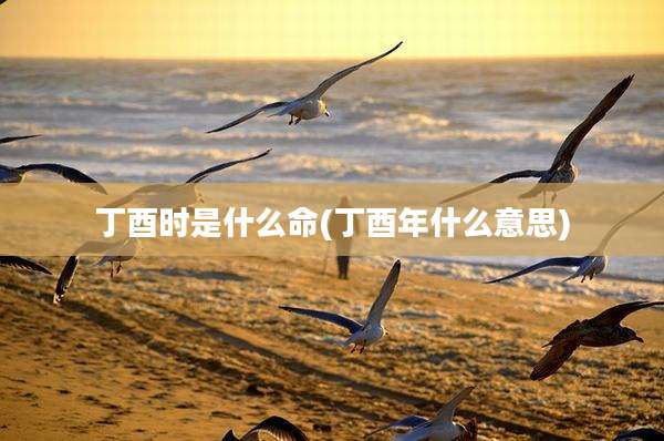 丁酉时是什么命(丁酉年什么意思)