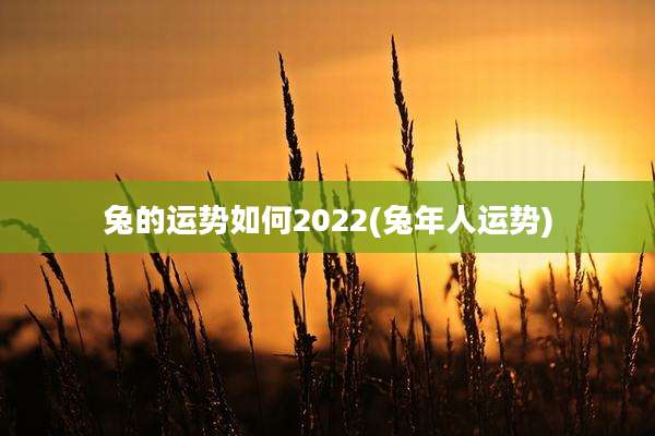 兔的运势如何2022(兔年人运势)