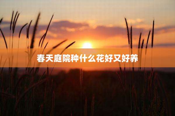 春天庭院种什么花好又好养