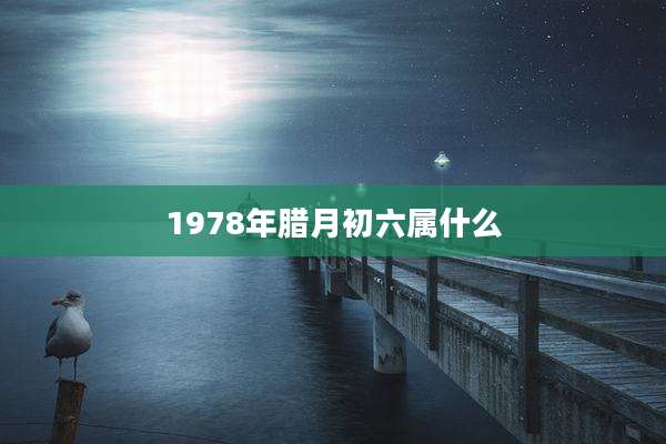 1978年腊月初六属什么