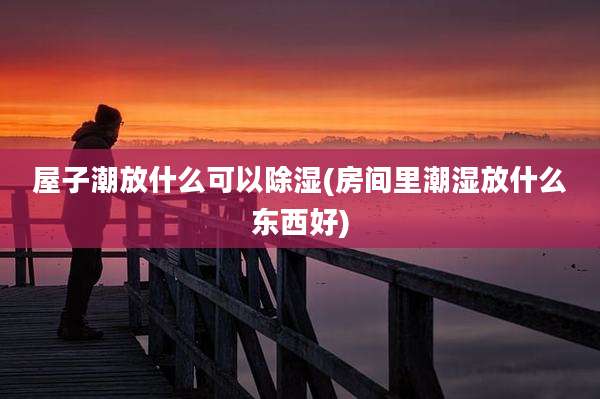 屋子潮放什么可以除湿(房间里潮湿放什么东西好)