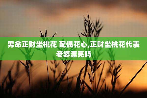 男命正财坐桃花 配偶花心,正财坐桃花代表老婆漂亮吗