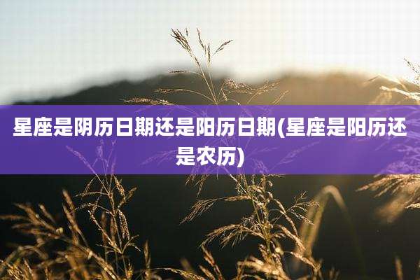 星座是阴历日期还是阳历日期(星座是阳历还是农历)
