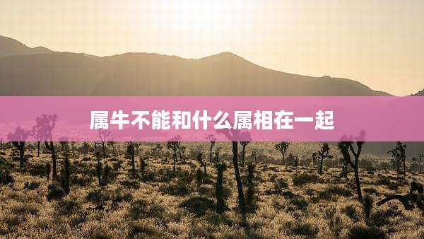 属牛不能和什么属相在一起
