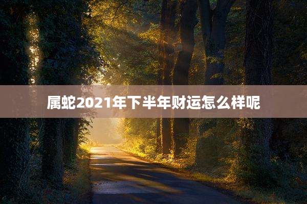 属蛇2021年下半年财运怎么样呢