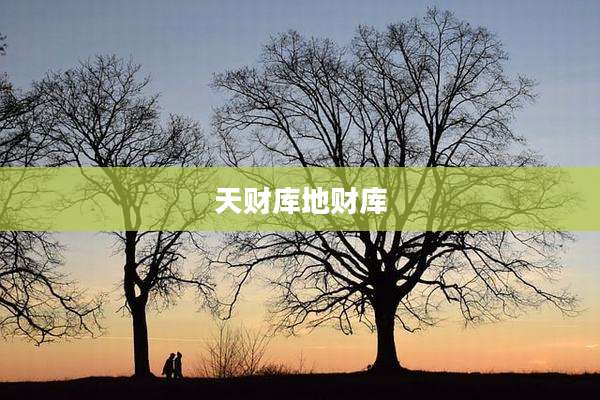 天财库地财库