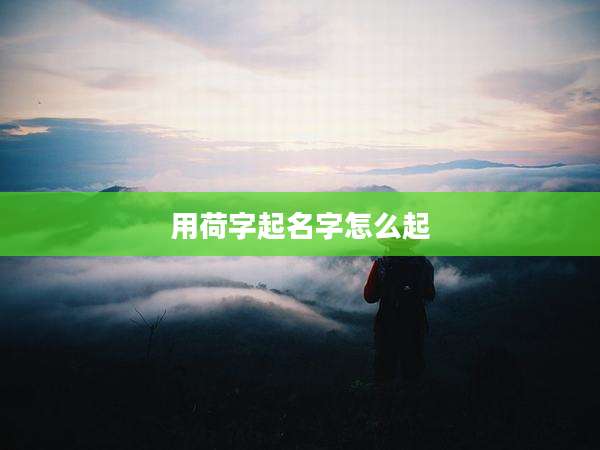 用荷字起名字怎么起