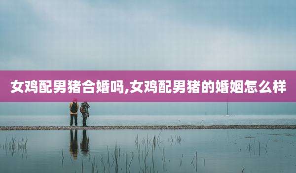 女鸡配男猪合婚吗,女鸡配男猪的婚姻怎么样