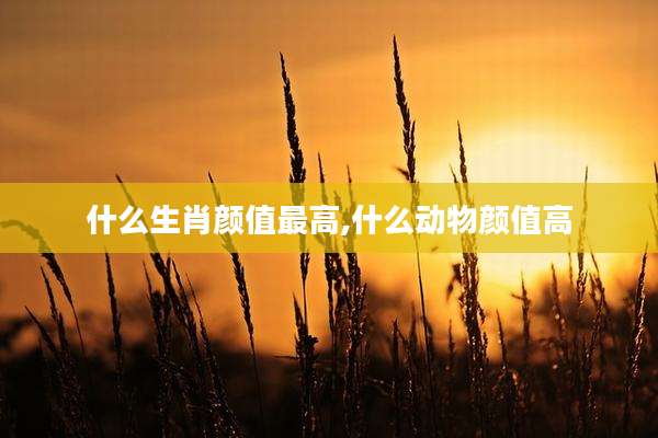 什么生肖颜值最高,什么动物颜值高