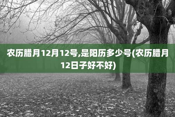 农历腊月12月12号,是阳历多少号(农历腊月12日子好不好)