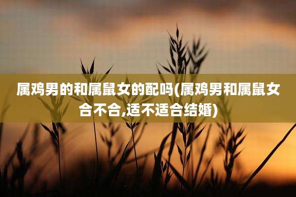 属鸡男的和属鼠女的配吗(属鸡男和属鼠女合不合,适不适合结婚)