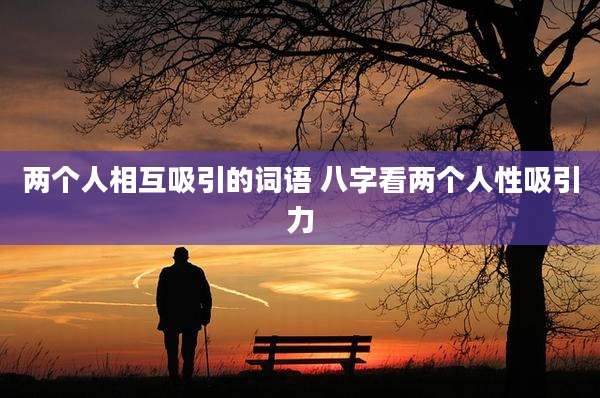 两个人相互吸引的词语 八字看两个人性吸引力