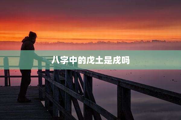 八字中的戊土是戌吗