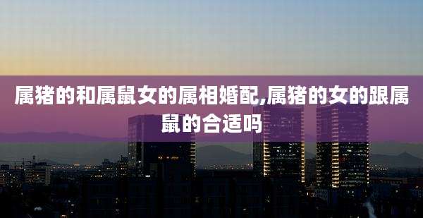 属猪的和属鼠女的属相婚配,属猪的女的跟属鼠的合适吗